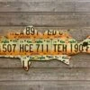 Cody Richardson Art - Georgia Redfish License Plate Art