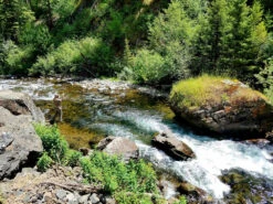 Dry Fly Strategies - Paul Weamer -Simms || Orvis || Patagonia Sales 9780811739535 il 1 40a87