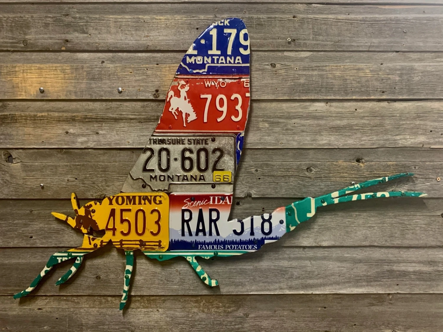 Cody Richardson Art - Mixed State Mayfly License Plate Art 3 Cody Richardson Art - Mixed State Mayfly License Plate Art