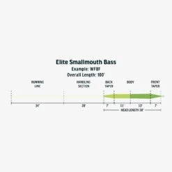 RIO Elite Smallmouth Bass Fly Line 7 RIO Elite Smallmouth Bass Fly Line -Simms || Orvis || Patagonia Sales FW Elite Smallmouth Bass fly line taper