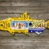 Cody Richardson Art - Alaska Chinook Salmon License Plate Art -Simms || Orvis || Patagonia Sales IMG 0847