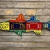 Cody Richardson Art - Antique Florida Snook License Plate Art -Simms || Orvis || Patagonia Sales IMG 1076