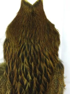 Whiting Brahma Hen SH/C -Simms || Orvis || Patagonia Sales IMG 5487