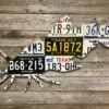 Cody Richardson Art - Texas Catfish License Plate Art -Simms || Orvis || Patagonia Sales IMG 5783