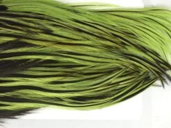 Whiting Bugger Pack -Simms || Orvis || Patagonia Sales IMG 6339