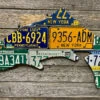 Cody Richardson Art - North East Trout License Plate Art -Simms || Orvis || Patagonia Sales IMG 9216