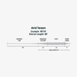 RIO Avid Tarpon 7 RIO Avid Tarpon -Simms || Orvis || Patagonia Sales SW Avid Tarpon fly line taper