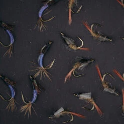 UMPQUA UPG FOAM MAGNETO LARGE FLY BOX -Simms || Orvis || Patagonia Sales UFM04778 70027.1681233928