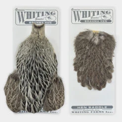 Whiting Brahma Hen Cape