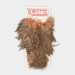 Whiting Rooster SH/C