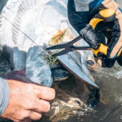 Loon Outdoors Loon Apex Needle Nose Plier 8 Loon Outdoors Loon Apex Needle Nose Plier -Simms || Orvis || Patagonia Sales apex needlenose pliers 4 1000x 3778a51b 7c68 4565 b19b 54f94f32f667