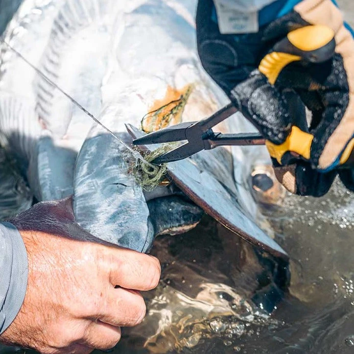 Loon Outdoors Loon Apex Needle Nose Plier 5 Loon Outdoors Loon Apex Needle Nose Plier - Image 3