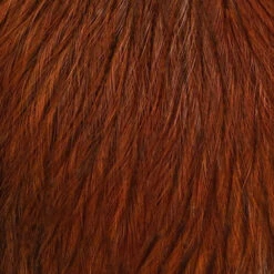 Whiting CDL Tailing Pack -Simms || Orvis || Patagonia Sales cdl burnt orange