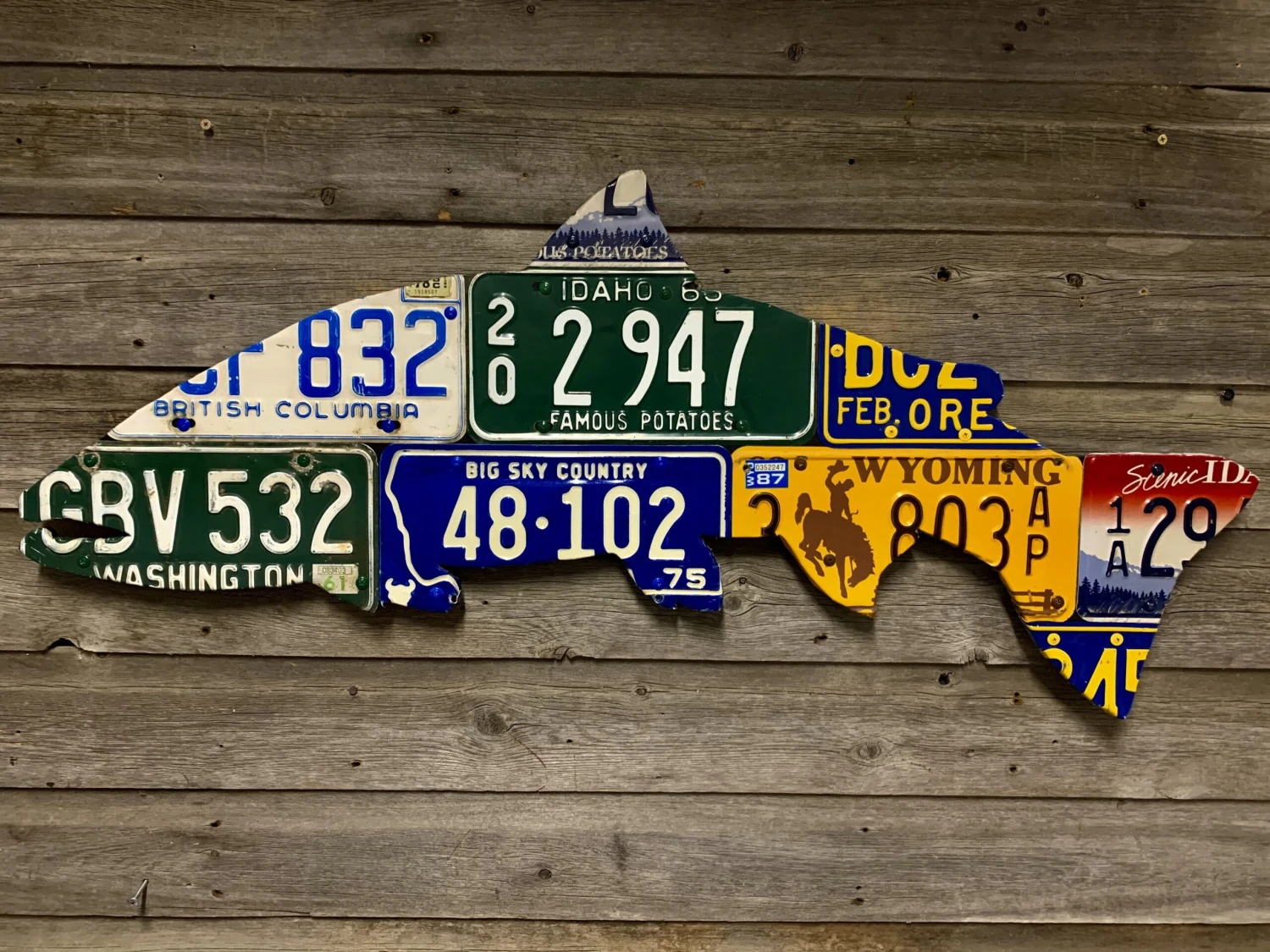 Cody Richardson Art - Pacific Northwest Steelhead License Plate Art 3 Cody Richardson Art - Pacific Northwest Steelhead License Plate Art