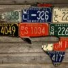 Cody Richardson Art - Kansas Largemouth Bass License Plate Art -Simms || Orvis || Patagonia Sales image bc884143 4c95 48c5 b919 001aeff405a7