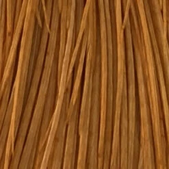 Whiting 100 Pack Size 10 -Simms || Orvis || Patagonia Sales white dye gold brown