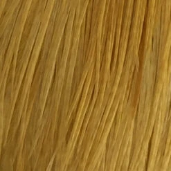 Whiting 100 Pack Size 10 -Simms || Orvis || Patagonia Sales white dye golden straw