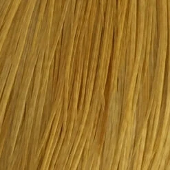 Whiting 100 Pack Size 10 -Simms || Orvis || Patagonia Sales white dye golden straw 2d21399a 2eb1 4ee8 9a0c 526e3ab04dc2